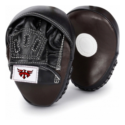 Punch Mitts